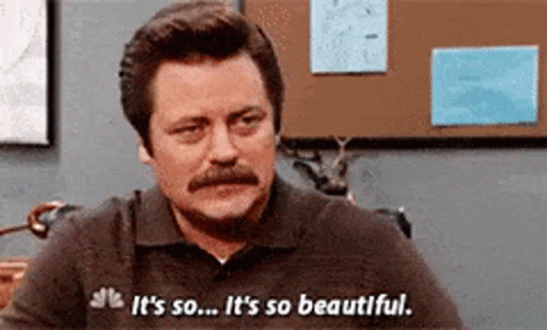 gif of ron swanson saying "it's so...so beautiful"