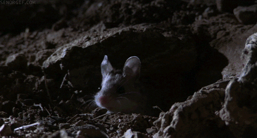 necromouser gif