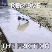 remove the friction gif with a pig sliding on a wet surface