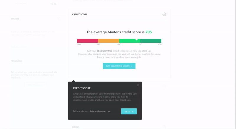 Mint user flow