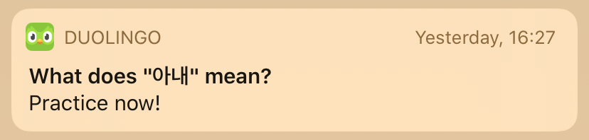 duolingo push notification reminder