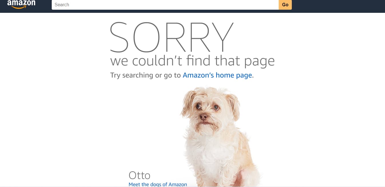screen grab of amazon 404 error screen