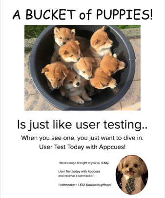 user testing hallway